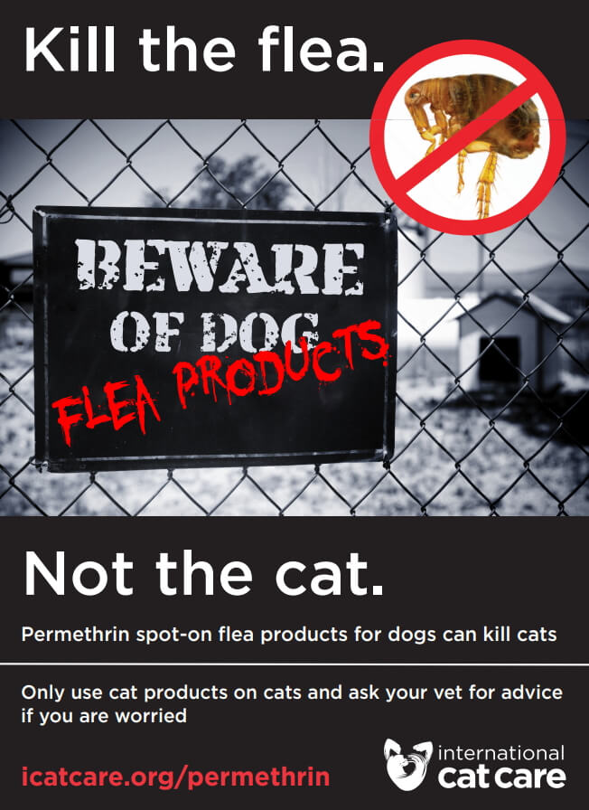 猫のペルメトリン中毒予防キャンペーンポスター