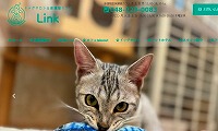 保護猫カフェLink・ホームページ