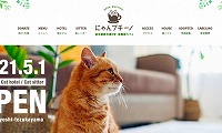 保護猫カフェにゃんプチーノ・ホームページ