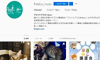 保護猫カフェMyao兵庫南店・Instagram