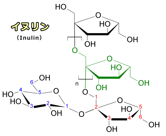 食物繊維の一種「イヌリン（Inulin）」の化学構造