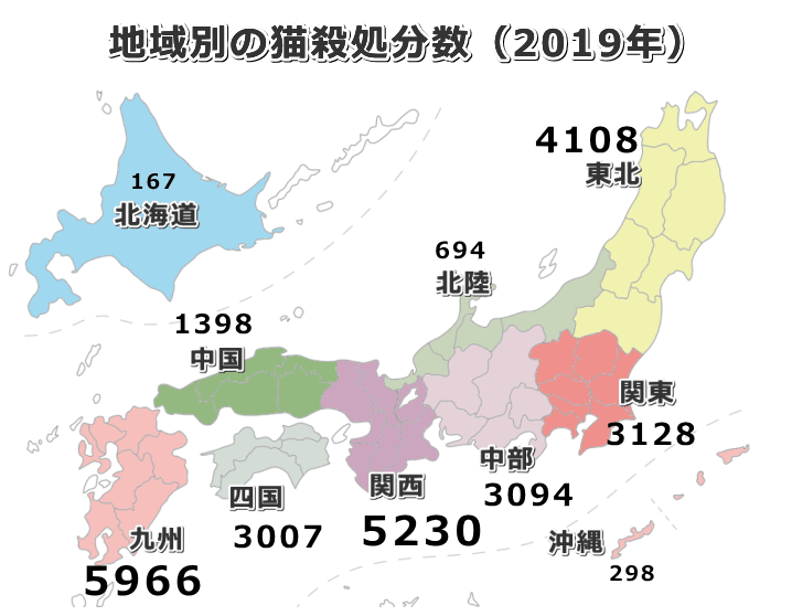 最新年版 猫の殺処分の現状 原因や理由を知り処分数ゼロのためにできることを考える 子猫のへや