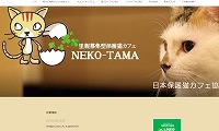 里親募集型保護猫カフェnekotama ねこたま 愛知にある猫カフェ 子猫のへや