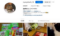 保護猫かふぇにゃにゃはち2・Instagram