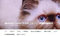 楽neko cafe・ホームページ