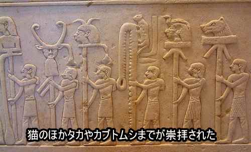 古代エジプトにおいて猫は神だった バステトとの関係からネコミイラまで 子猫のへや
