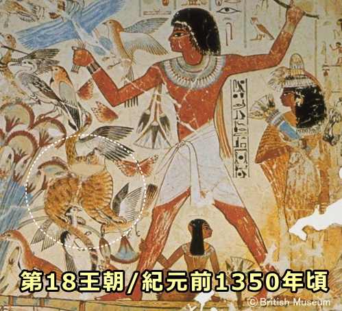 古代エジプトにおいて猫は神だった バステトとの関係からネコミイラまで 子猫のへや