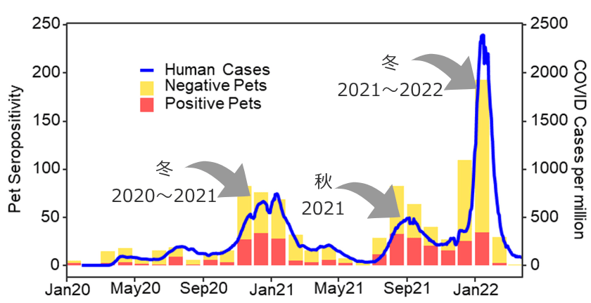 新型コロナの月間患者数と犬猫の血清陽性率対比グラフ