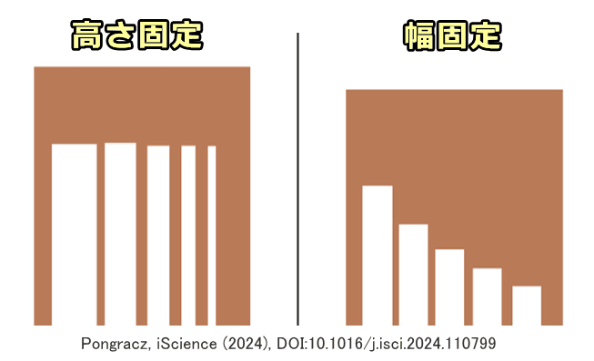 幅および高さを固定したくぐり穴