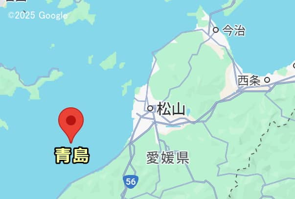 愛媛県北西に浮かぶ孤島・青島